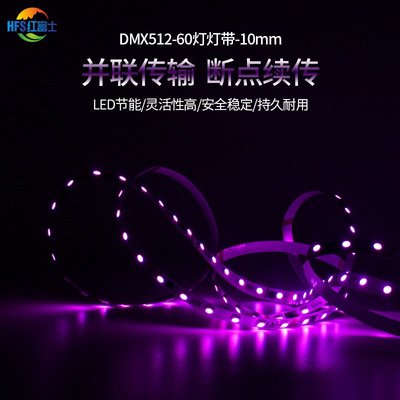 全彩DMX512幻彩色燈帶10段60燈10MM5050RGB霓虹燈條擠出亮化工程
