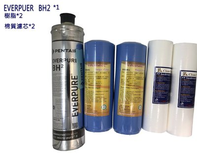 EVERPURE Everpure BH2/BH2取代S100 S104 H104 H100 .樹脂濾芯一年份濾芯