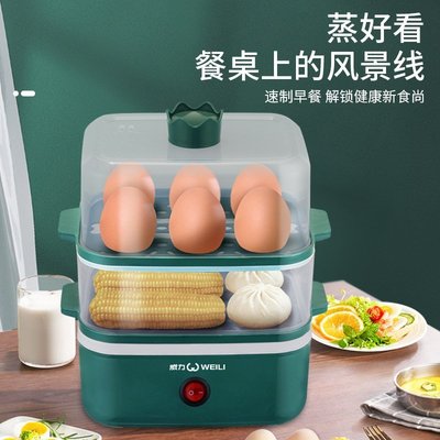 多功能煮蛋器迷你家用雙層蒸蛋器自動斷電蒸包子神器早餐機(null)