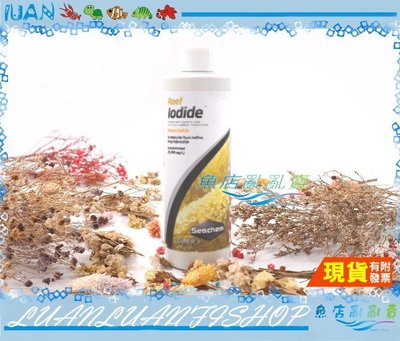 【~魚店亂亂賣~】N-3556美國Seachem西肯Reef iodide碘離子添加劑250ml海水珊瑚.軟體用