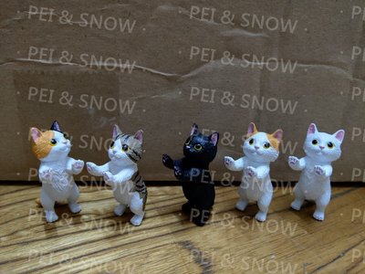 另開賣場 只要430 現貨 扭蛋 Touch 動物 貓咪 幼貓篇 全5款