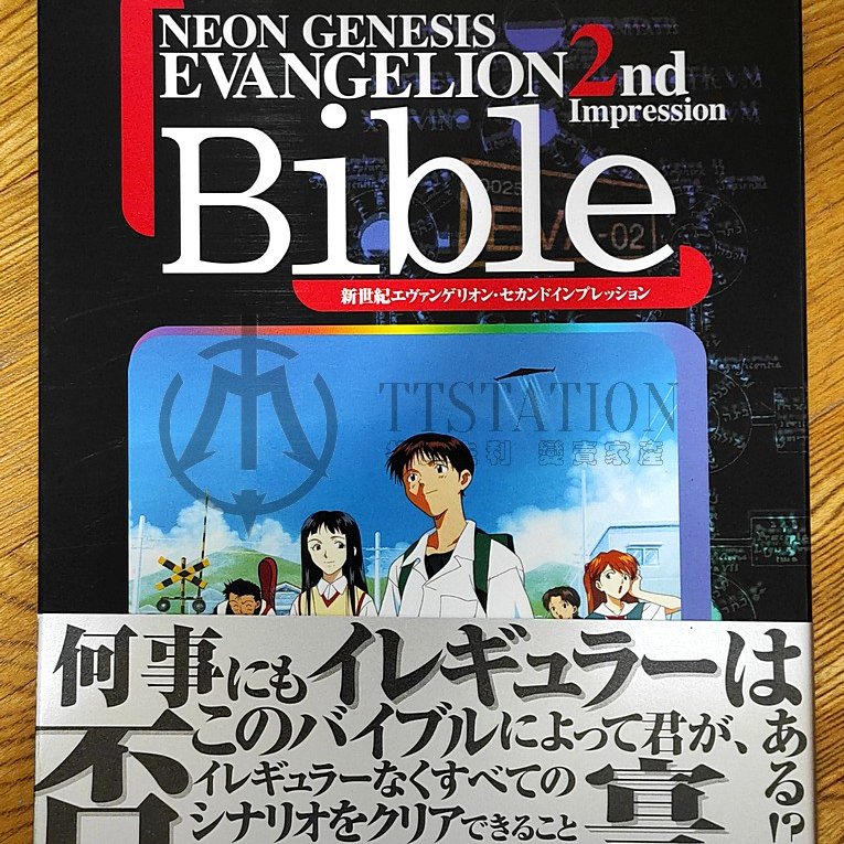 SS 新世紀福音戰士第2印象日文設定集攻略本EVA 2nd Impression 山岸 