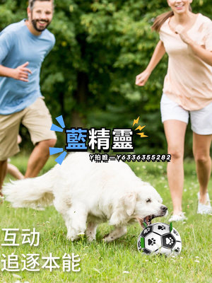 項圈狗狗玩具足球戶外互動寵物玩具球耐咬磨牙狗專用訓練球