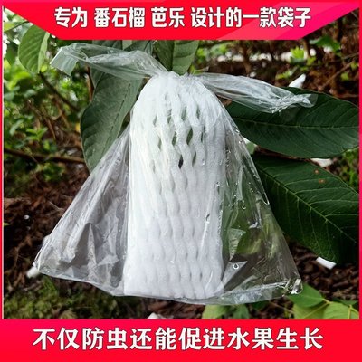 促銷打折 水果套包番石榴芭樂保護網套袋防蟲袋包裝子一體專用泡沫網袋