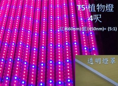 [嬌光照明]植物燈 水族燈 LED日光燈管 T5 4呎 紅(660nm):藍(450nm)=5:1