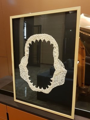 大型  浮體鯊魚牙嘴 標本 藝術品  相框  非虎鯊 非馬加鯊