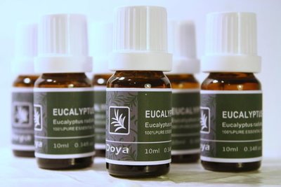 《Doya朵漾香氛館》Eucalyptus尤加利( 按樹)純精油10ML