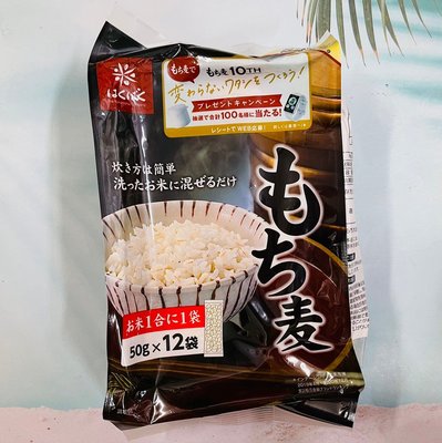日本 hakubaku 黃金糯麥 600g(50g*12袋）糯麥飯