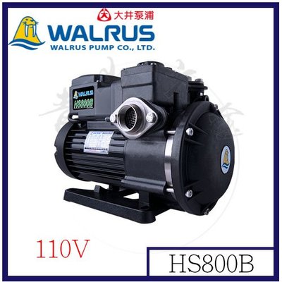 『青山六金』附發票 Walrus HS800B 大井泵浦 110V 家庭用泵浦 不生銹抽水機 靜音抽水機 低噪音