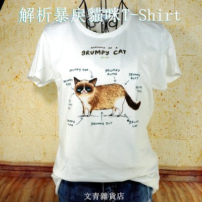 厭世貓咪找你~解析暴戾貓咪T-Shirt 讓眼神厭世又暴戾的貓咪陪你打亂無聊的夏天！