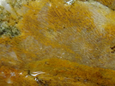 《藍晶寶石玉石特賣》→〈原石系列〉→水洗孤粒鈦金魚子紋清透珊瑚黃玉髓原礦〈5190公克→j11