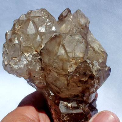 鱷魚骨幹水晶08–279.3公克。教堂水晶。茶黃晶。珍藏水晶