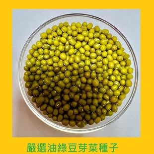 台灣PIH嚴選-油綠豆芽菜專用種子 150ml-防潮袋-種子花苗