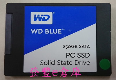【登豐e倉庫】 TR117 WD WDS250G1B0A 250GB SSD 固態硬碟