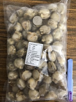 金星冷凍食品福利社-冷凍熟扇貝肉80/100(1kg)