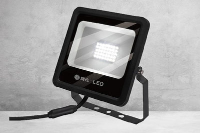 舞光 LED 宙斯 30W 泛光燈 投光燈 戶外探照燈 IP66