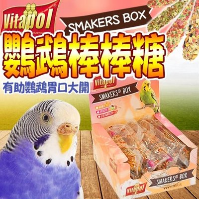 【🐱🐶培菓寵物48H出貨🐰🐹】Vitapol維他寶》小型鸚鵡磨牙棒棒糖-45g/支特價39元自取不打折