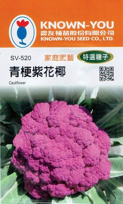 四季園 青梗紫花椰 紫色花椰菜Cauliflower(sv-520) 【蔬菜種子】農友種苗特選種子 每包約80粒