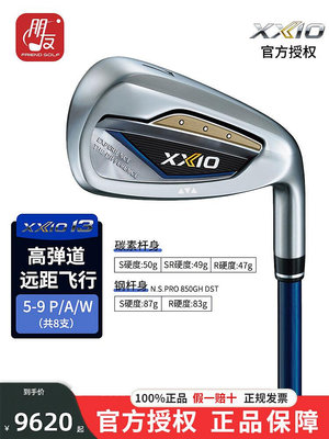 高爾夫球桿 戶外用品 XXIO高爾夫球桿鐵桿組男MP1300全新高-一家雜貨