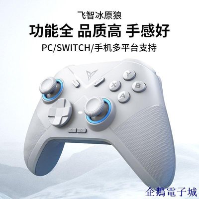 溜溜雜貨檔飛智冰原狼遊戲手柄 switch手柄雙人成行 pc電腦版Xbox DVV5