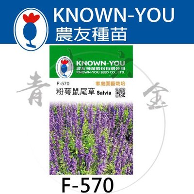 『青山六金 』附發票 農友 F-570 粉萼 鼠尾草 新鮮 種子 混合色 花卉 家庭 園藝 栽培 種苗 植作 約80粒