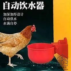 【家禽飲水器】雞用飲水槽，自動水碗，雞鴨鵝飲水器，喂鴿子水碗，鳥飲水器，鵪鶉養殖設備【我的寶貝】