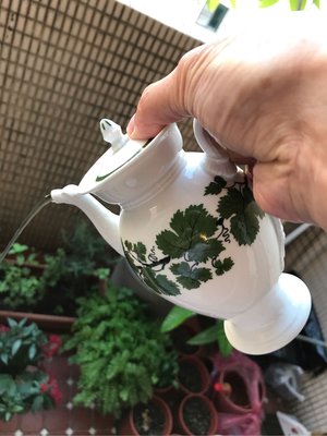 meissen 麥森  茶壺 咖啡壺綠葡萄藤 一級品 愛買家族。