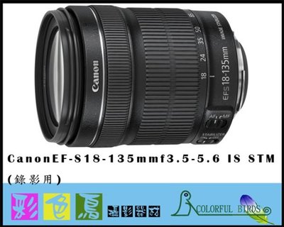彩色鳥 (鏡頭出租 相機出租)租 Canon EF-S 18-135mm f3.5-5.6 IS STM