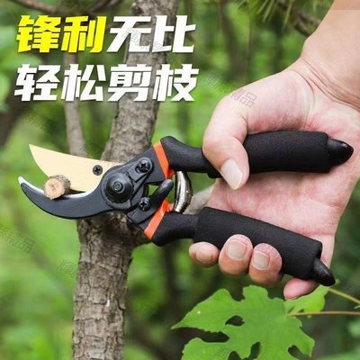 現貨 日本制造SK5粗枝剪刀剪蘋果樹芒果樹枝修蹄子工具修盆栽花圃剪子-可開發票