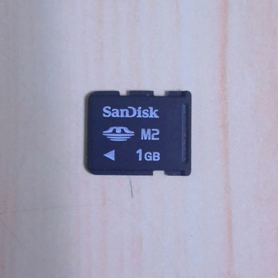 SanDisk M2 1GB 記憶卡 直購價：79元