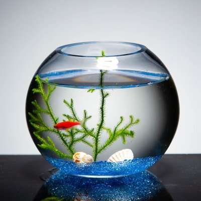 【熱賣精選】魚缸 創意魚缸小型微景觀桌面玻璃魚缸生態金魚缸造景客廳斗魚藻球缸 玻璃魚缸
