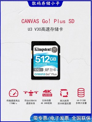 【現貨】金士頓SDG3 512G SD卡富士索尼萊卡微單相機影像卡U3 V30 4K讀170