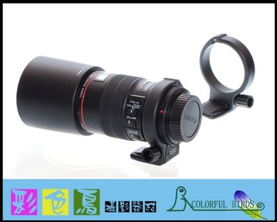彩色鳥 (租 鏡頭 相機)租 Canon EF 100mm f2.8 L Macro IS 5D4 R5 R6 90D