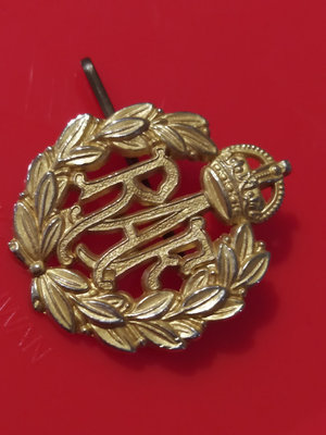 英國皇家空軍金色徽章
