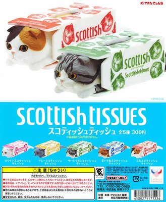 蘇格蘭摺耳貓 &amp; 衛生紙盒 KITAN 奇譚俱樂部 扭蛋 轉蛋 疊疊樂 全套5款 現貨！