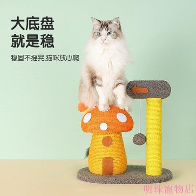 明珠寵物店~mpets貓爬架小型貓咪貓窩貓抓板貓樹一體貓架子貓抓柱貓玩具用品