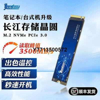 長江存儲顆粒M2固態硬碟2T 4T PCIe3.0 M.2桌機電腦PS5筆電SSD