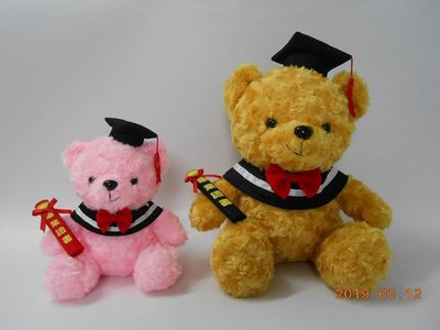 送包裝~畢業熊～畢業泰迪熊娃娃~高20cm 學士熊～玫瑰熊~泰迪熊畢業禮物～畢業熊花束 可繡字