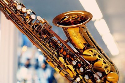 【現代樂器】現貨！法國Selmer Reference 54 Alto Saxophone 中音薩克斯風 R54
