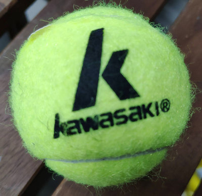 (BZ) KAWASAKI 硬式練習網球  KTG14-1  [迦勒=]