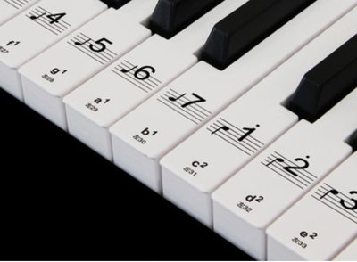 〖好聲音樂器〗鋼琴鍵盤貼 黑鍵貼 (附發票) 88鍵 61鍵54鍵 透明五線譜簡譜琴鍵貼紙鋼琴 電子琴鍵盤貼 鋼琴貼紙
