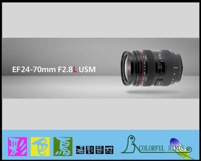 彩色鳥 (鏡頭出租 租鏡頭) Canon EF 24-70mm f2.8L USM canon 24-70mm