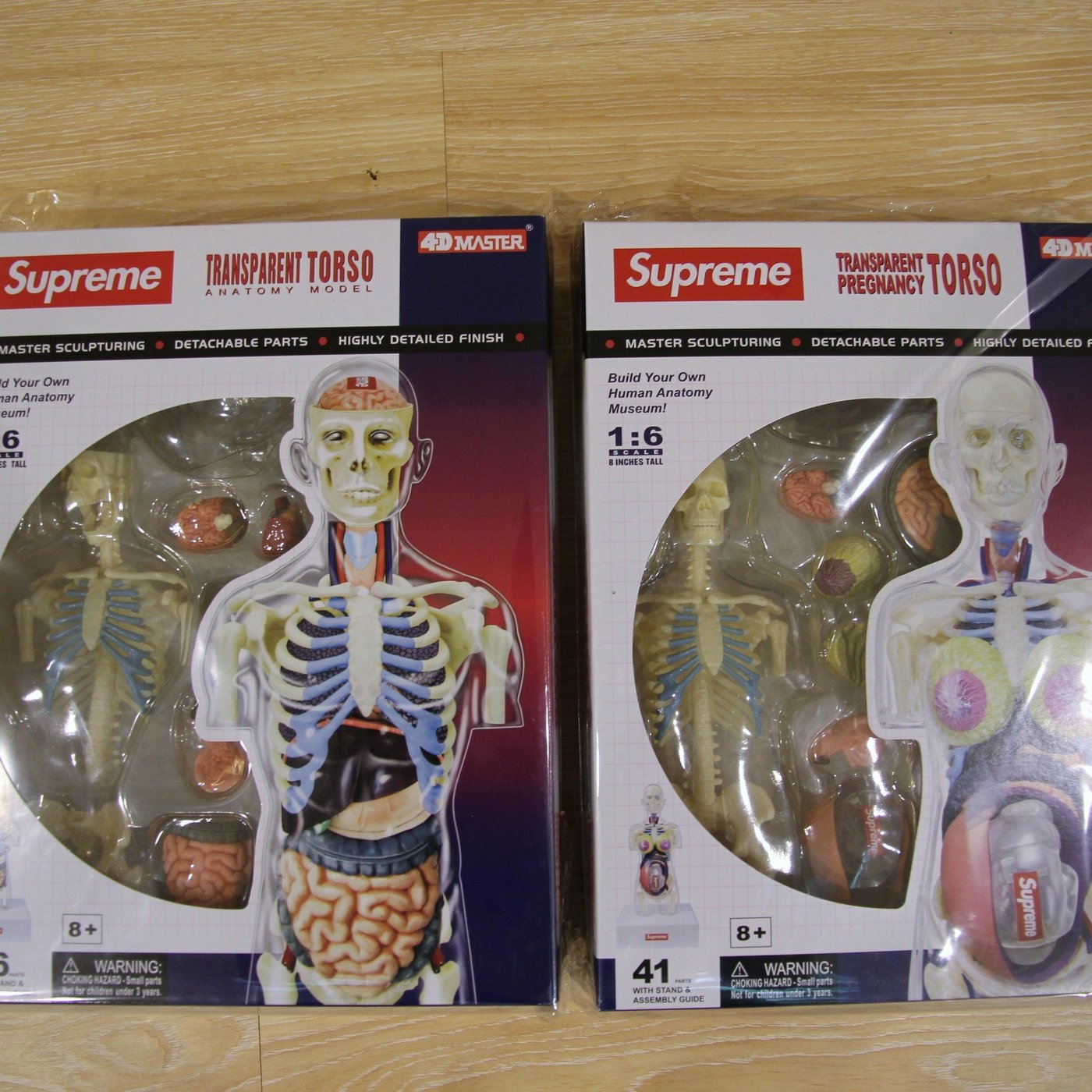 現貨全新Supreme Anatomy Model 人體解剖模型(一組另有優惠) 類