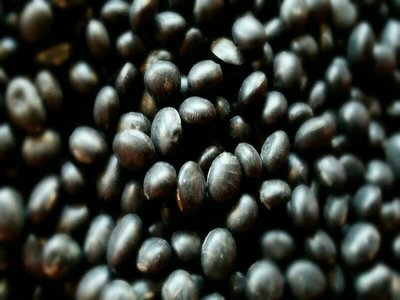 ｛豐｝糧行 黑蜜丹波大黑豆（生）600公克 真空包裝 養生首選 雜糧 健康