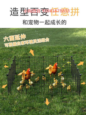 寵物雞窩蘆丁雞野雞折疊雞籠家用養雞籠下蛋窩塑料雞鴨籠子圍欄