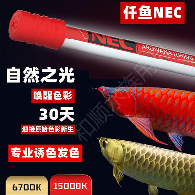 日本nec龍魚專用發色燈增色仟魚三基色魚缸燈紅龍金龍魚燈潛水燈