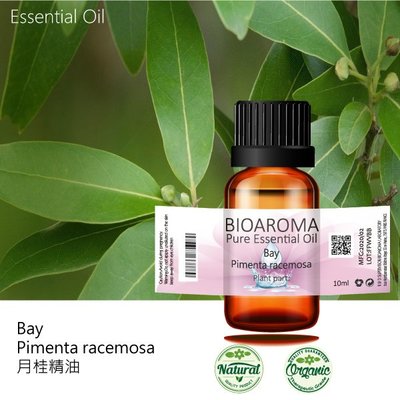 【芳香療網】Bay - Pimenta racemosa 月桂精油 10ml