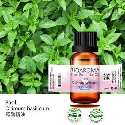 【芳香療網】Basil - Ocimum basilicum 羅勒精油 10ml
