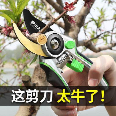 日本精工園藝修枝剪果樹專用剪刀剪枝省力強力大修剪修花剪子神器