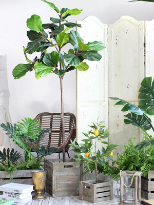 西西里仿真綠植組合套裝 木箱綠植鄉村花園庭院陽台裝飾植物擺件~優樂美